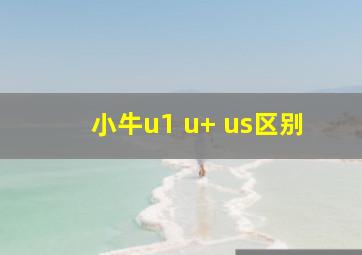 小牛u1 u+ us区别